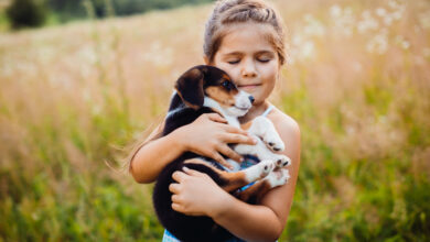 little girl holds a puppy on her arms scaled 1