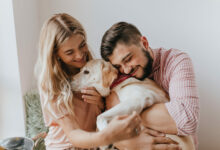 positive husband and wife play with dog man in striped shirt hugs labrador with tenderness scaled 1