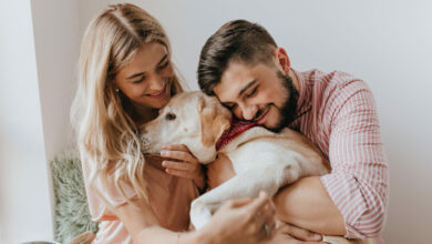 positive husband and wife play with dog man in striped shirt hugs labrador with tenderness scaled 1