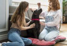 full shot women and dog in living room scaled 1