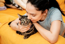 young beautiful woman with cat at home sitting on the orange sofa hugging her cute pet adorable domestic pet concept scaled 1 1