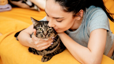 young beautiful woman with cat at home sitting on the orange sofa hugging her cute pet adorable domestic pet concept scaled 1 1