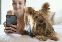 young woman with dog taking selfie scaled 1 1