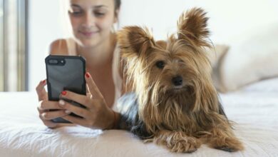 young woman with dog taking selfie scaled 1 1