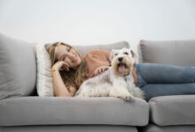 medium shot smiley woman and dog on couch scaled 1