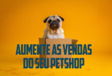 Aumente as Vendas do Seu Petshop: Como a Gestão de Mídia Pode Transformar Seu Negócio