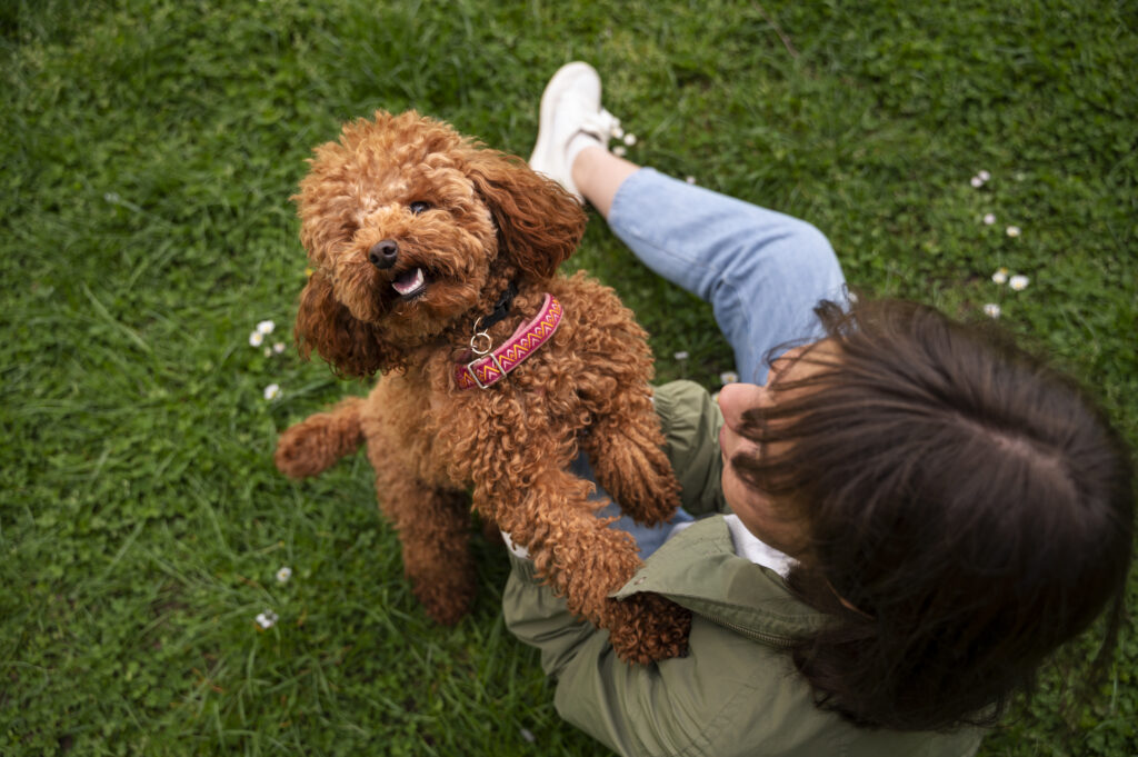 A pet terapia consiste em promover o contato da passoa com o animal e assim, aliviar o estresse e até mesmo melhorar a interação social.