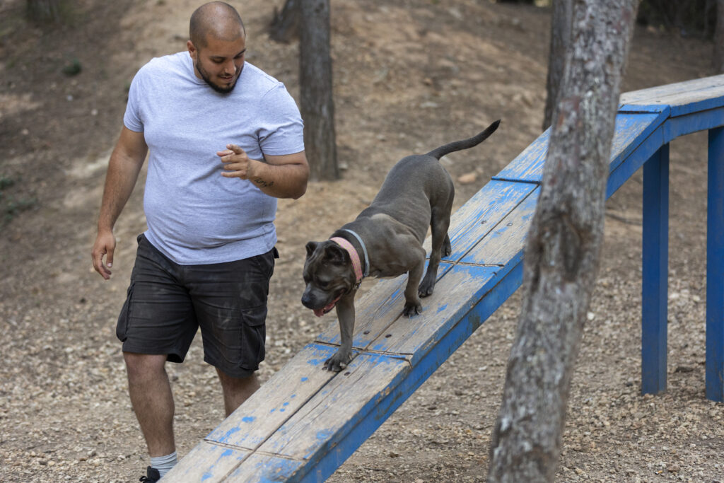 Saiba como escolher a escada para cachorros ideal para o seu
amiguinho através das nossas dicas e como ensiná-los a usar da melhor forma.