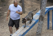 male dog trainer outdoors with dog during session