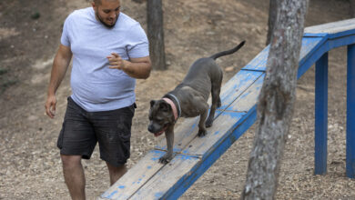 male dog trainer outdoors with dog during session